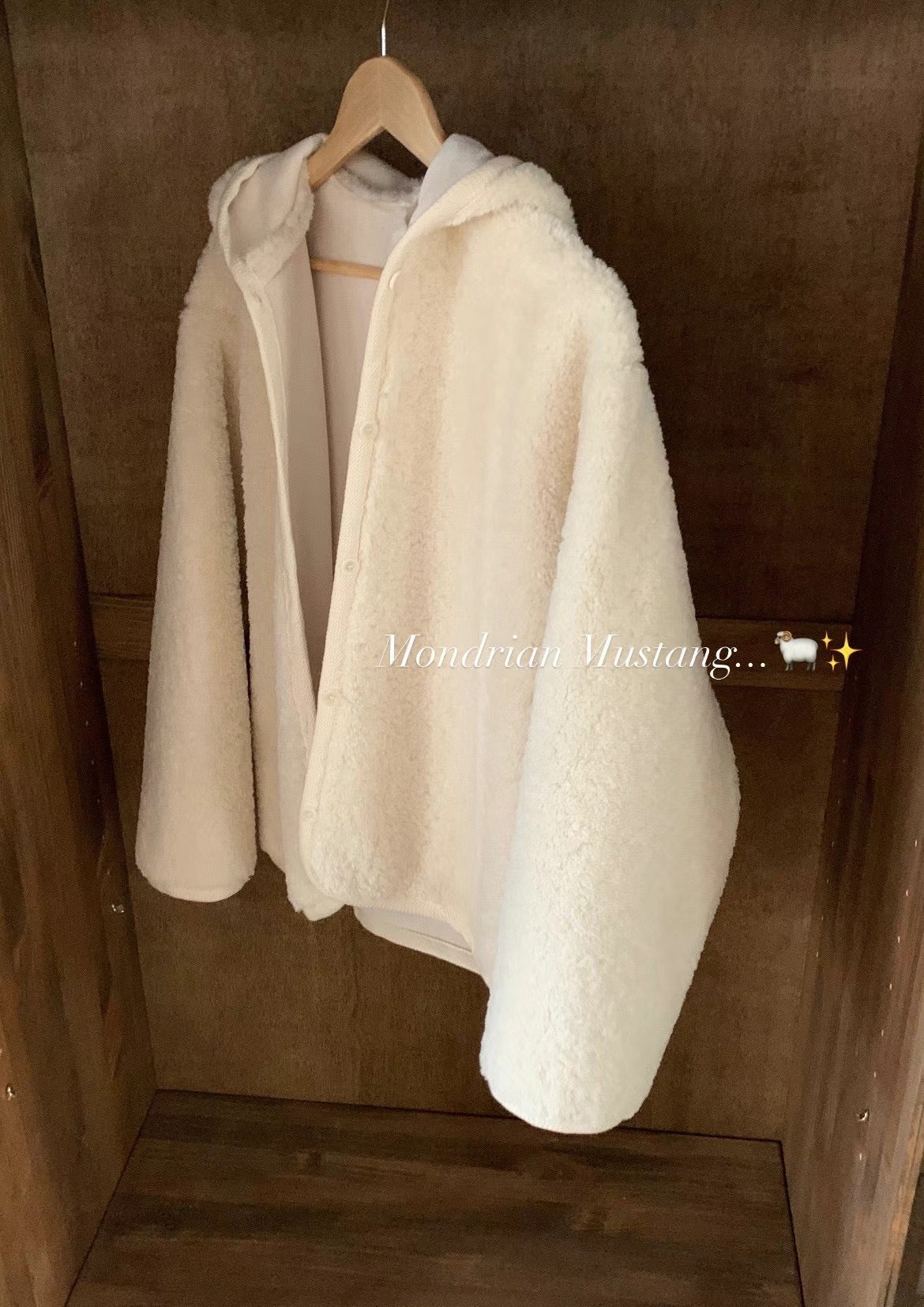 (Premium) Teddy Bear Hoodie Jacket